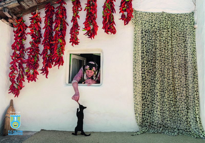 FOTO SAFARİ 2020 FOTOĞRAF YARIŞMASI SONUÇLANDI