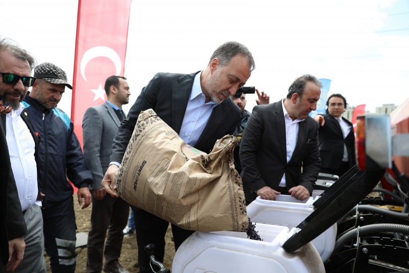 SİLİVRİ BELEDİYESİ BU SENE DE 1.000 DÖNÜM ARAZİSİNE MİLLİ AYÇİÇEĞİ EKİYOR