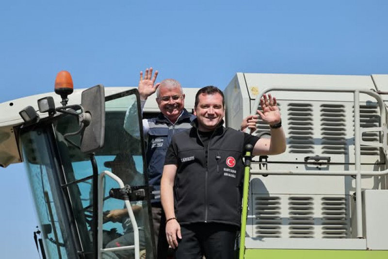 İBB tarafından Gazitepe’de gerçekleştirilen yağlık ayçiçeği hasadı tamamlandı