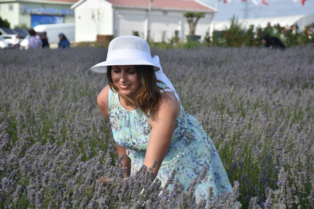 SİLİVRİ’DE MİS KOKULU HASAT | silivri.bel.tr